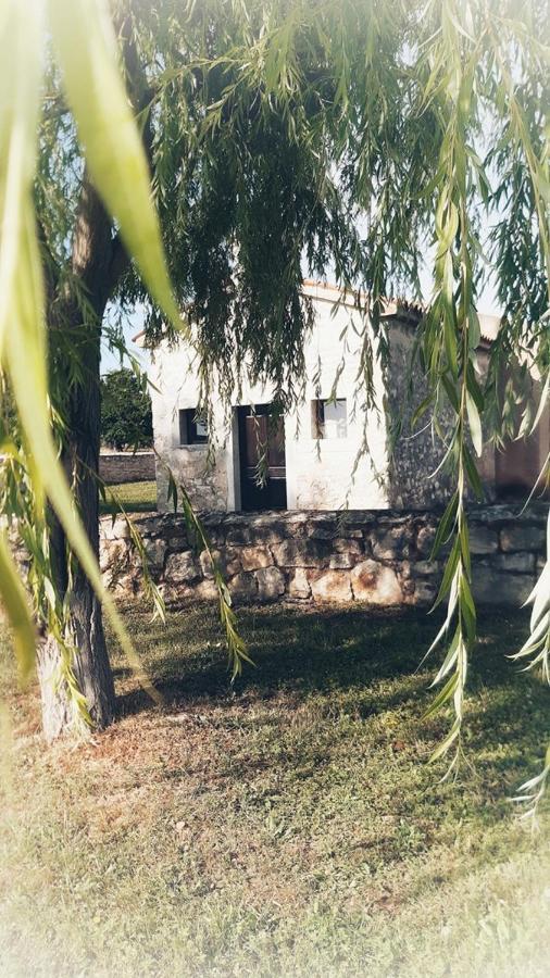 Apartment Complex Jelena Funtana Exterior photo